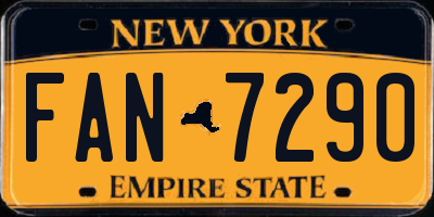 NY license plate FAN7290