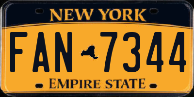 NY license plate FAN7344