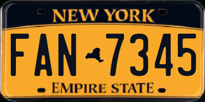 NY license plate FAN7345