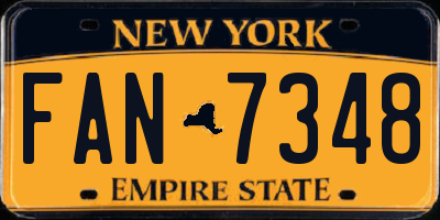 NY license plate FAN7348