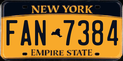 NY license plate FAN7384