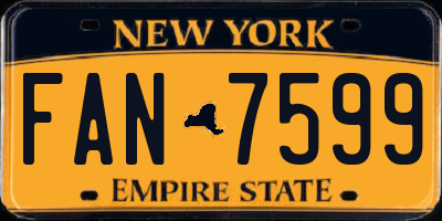 NY license plate FAN7599