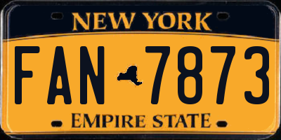 NY license plate FAN7873