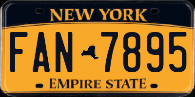 NY license plate FAN7895