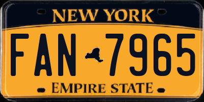 NY license plate FAN7965