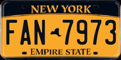NY license plate FAN7973
