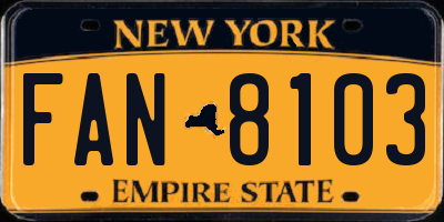 NY license plate FAN8103