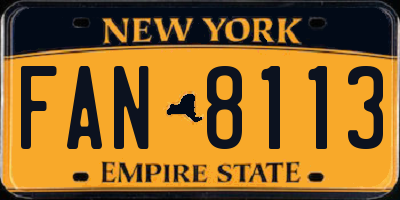 NY license plate FAN8113
