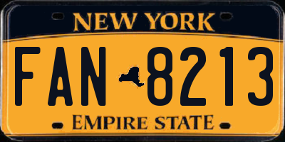 NY license plate FAN8213