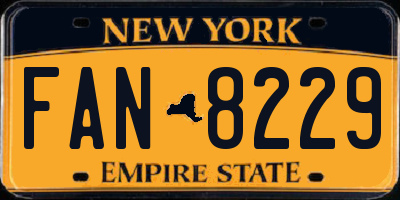 NY license plate FAN8229