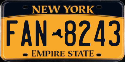 NY license plate FAN8243