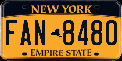 NY license plate FAN8480