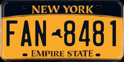 NY license plate FAN8481