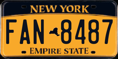 NY license plate FAN8487