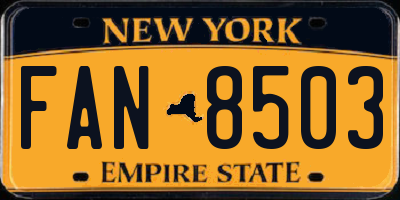 NY license plate FAN8503