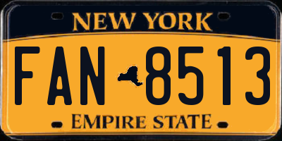 NY license plate FAN8513