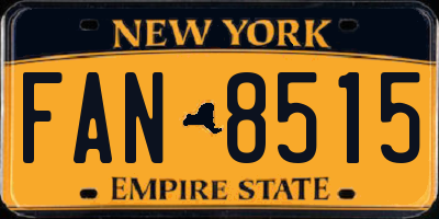 NY license plate FAN8515