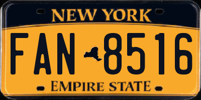 NY license plate FAN8516