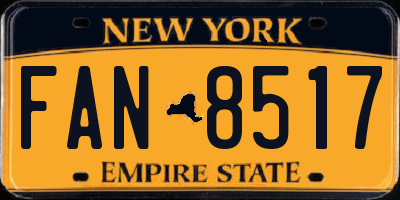 NY license plate FAN8517