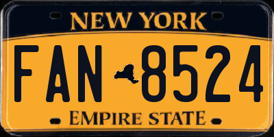 NY license plate FAN8524