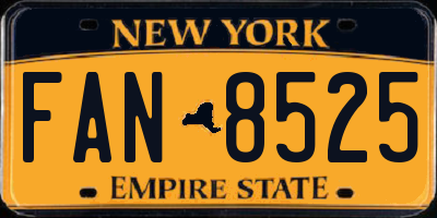 NY license plate FAN8525