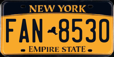 NY license plate FAN8530