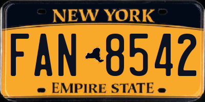 NY license plate FAN8542