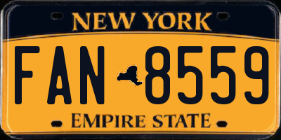 NY license plate FAN8559