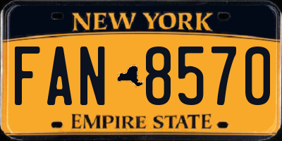 NY license plate FAN8570