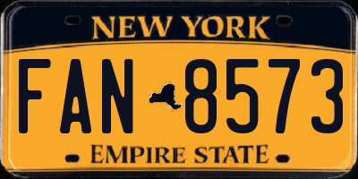 NY license plate FAN8573