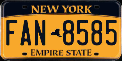 NY license plate FAN8585