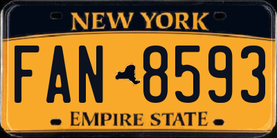 NY license plate FAN8593