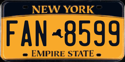 NY license plate FAN8599