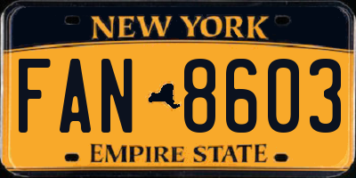 NY license plate FAN8603