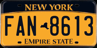 NY license plate FAN8613