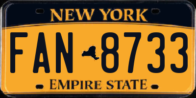 NY license plate FAN8733