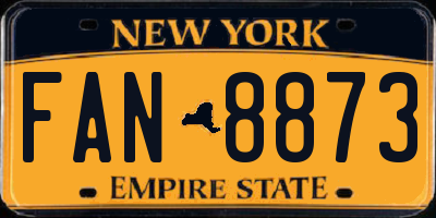 NY license plate FAN8873