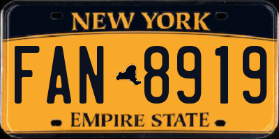 NY license plate FAN8919