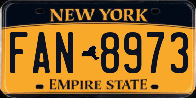 NY license plate FAN8973