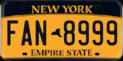 NY license plate FAN8999