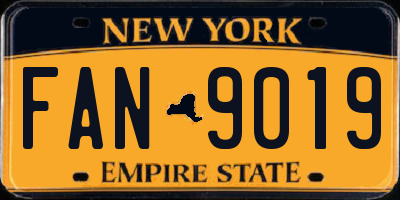 NY license plate FAN9019