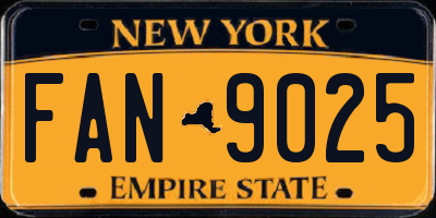 NY license plate FAN9025