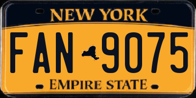 NY license plate FAN9075