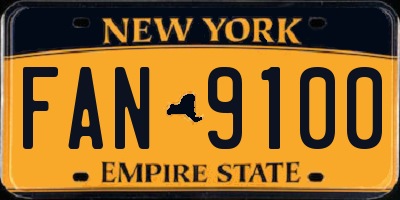NY license plate FAN9100