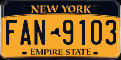NY license plate FAN9103