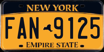 NY license plate FAN9125