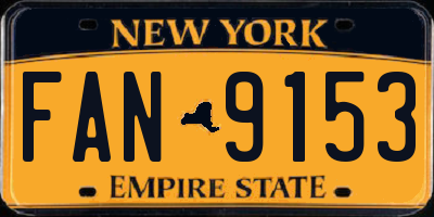 NY license plate FAN9153