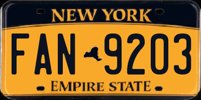 NY license plate FAN9203