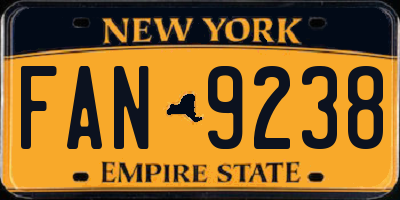 NY license plate FAN9238