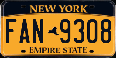 NY license plate FAN9308
